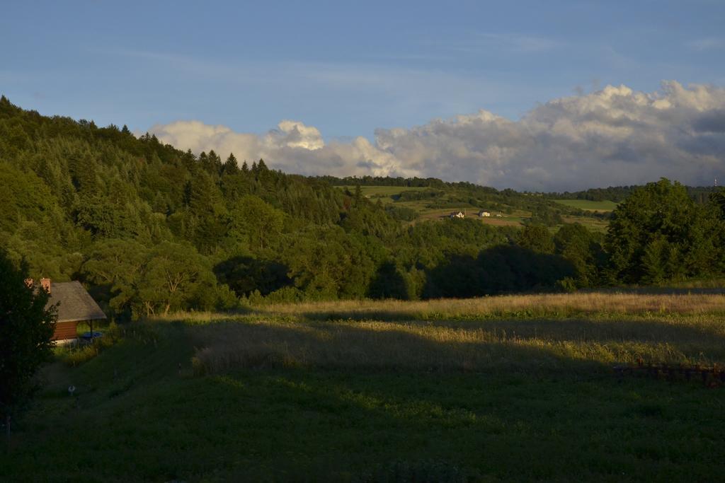 Wilkowyja Farm stay